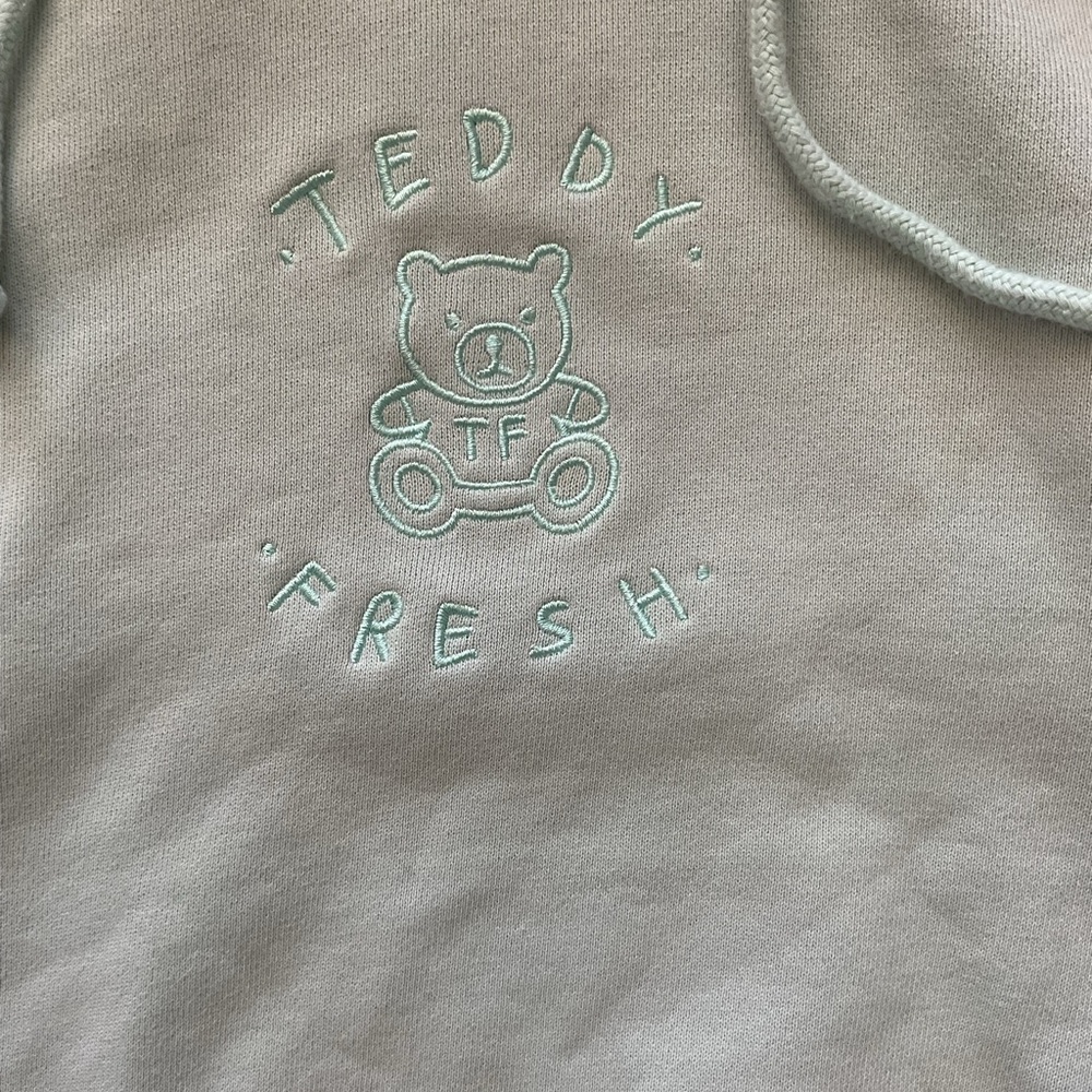 Teddy Fresh Size S Embroidered Logo Hoodie Sweatshirt Pastel Color Block - Picture 2 of 5